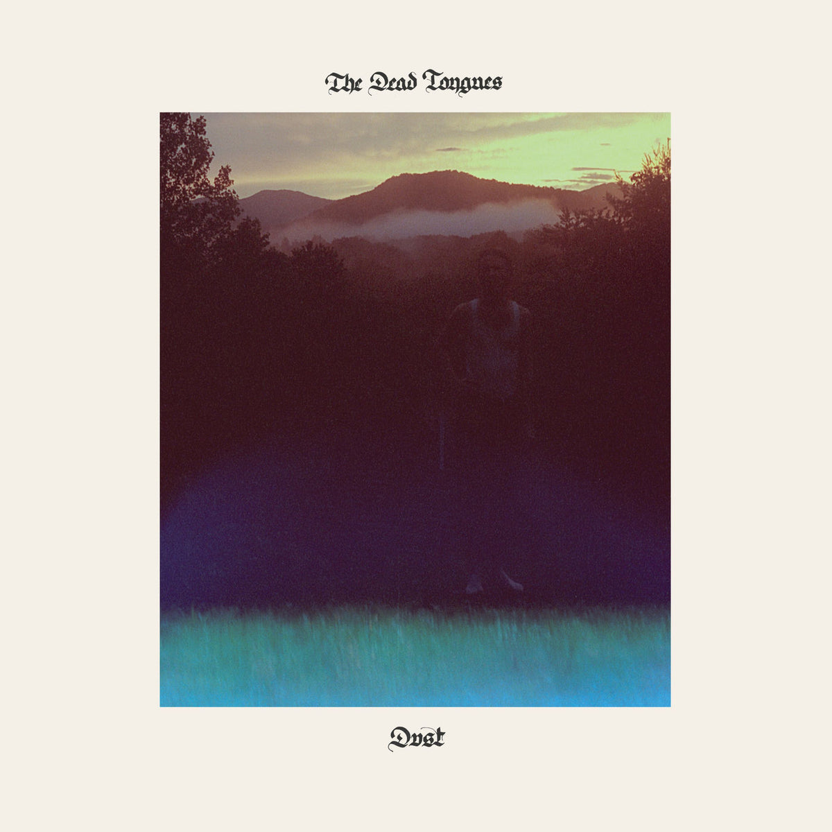 The Dead Tongues – Dust vinyl cover