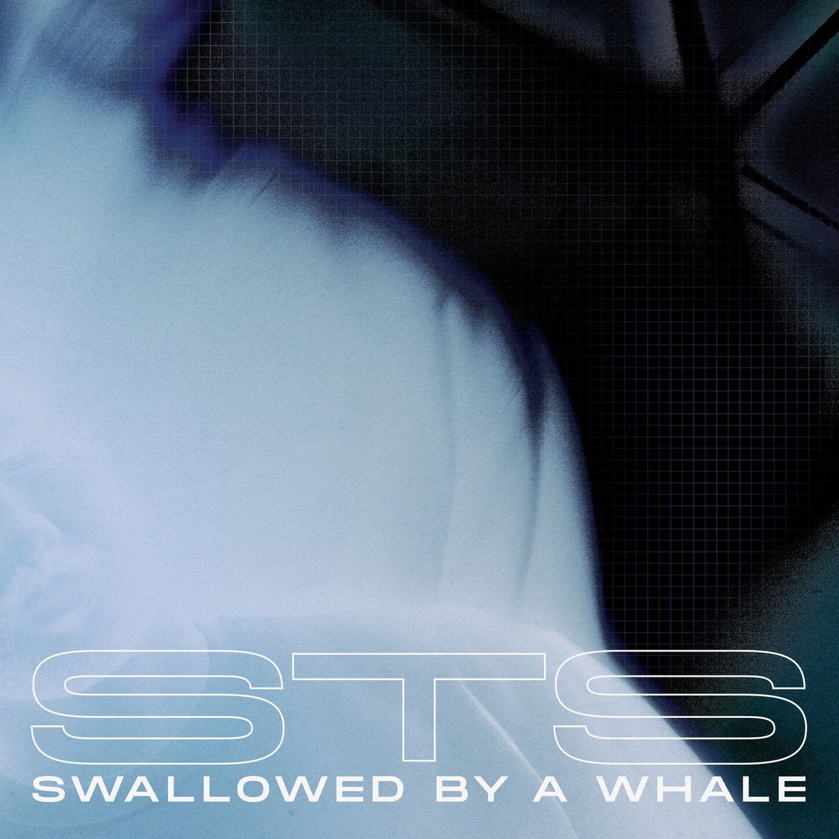 STS – Swallowed By A Whale vinyl cover