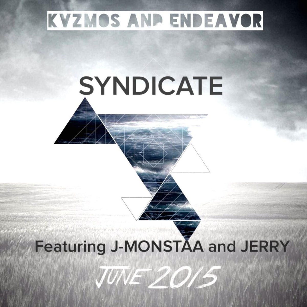 Various Artists – Syndicate vinyl record cover
