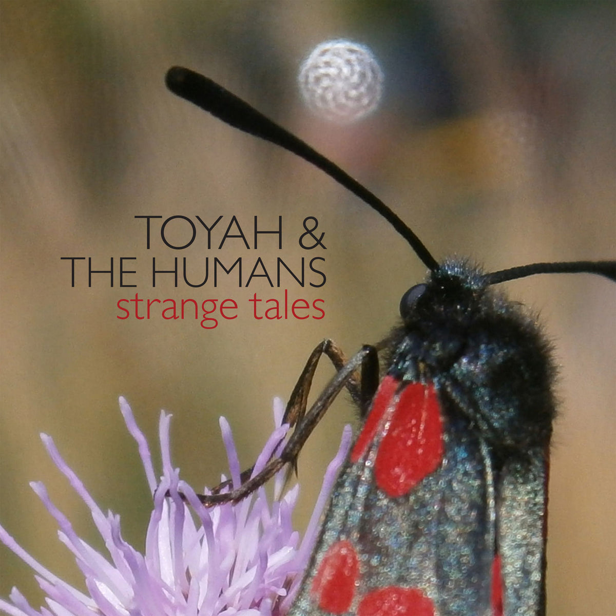Toyah – Strange Tales vinyl cover