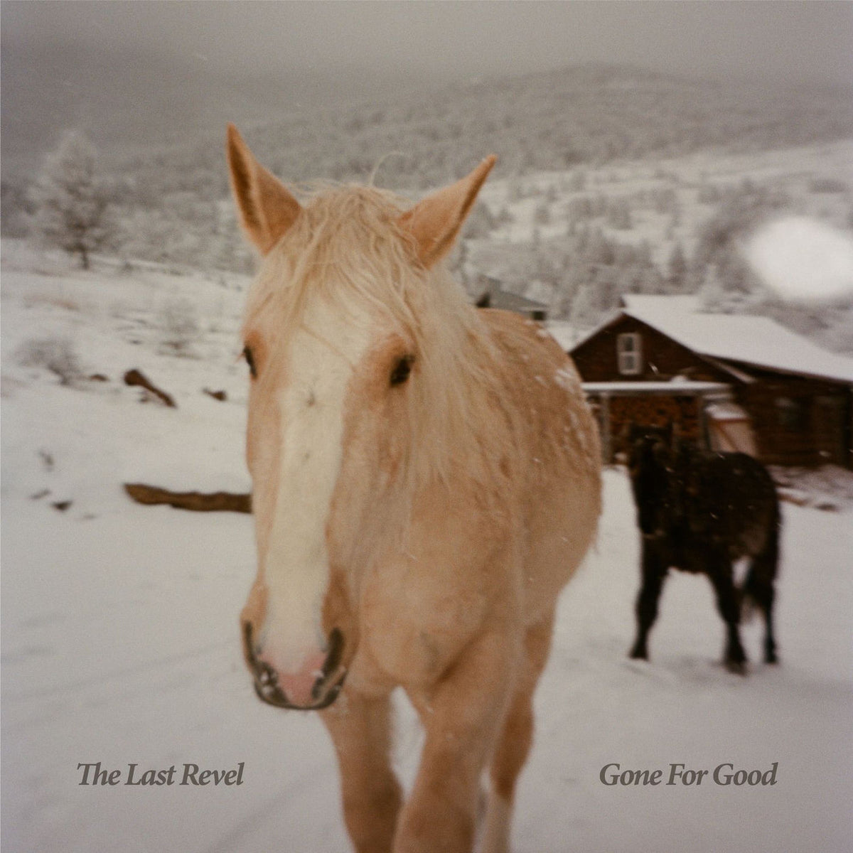The Last Revel – Gone for Good vinyl record cover