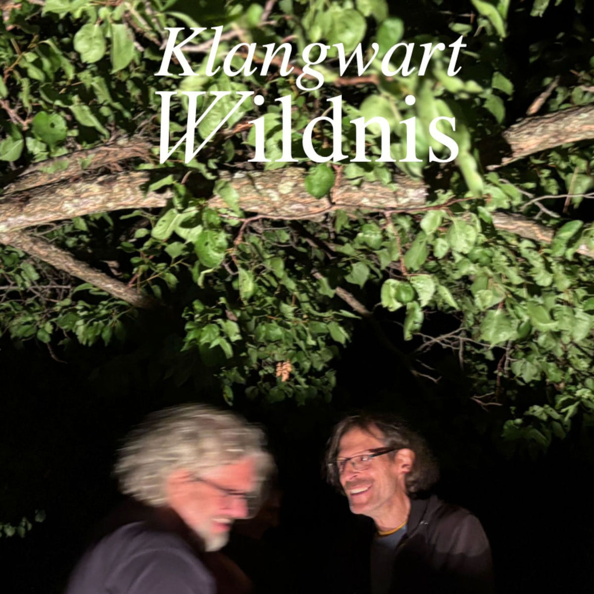 Klangwart – Wildnis vinyl cover