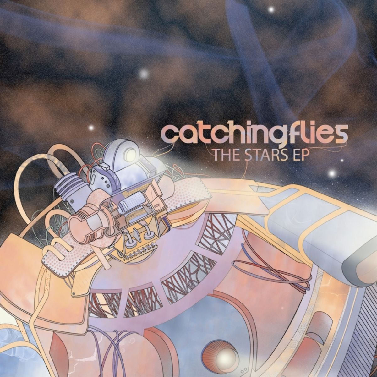Catching Flies – The Stars vinyl cover