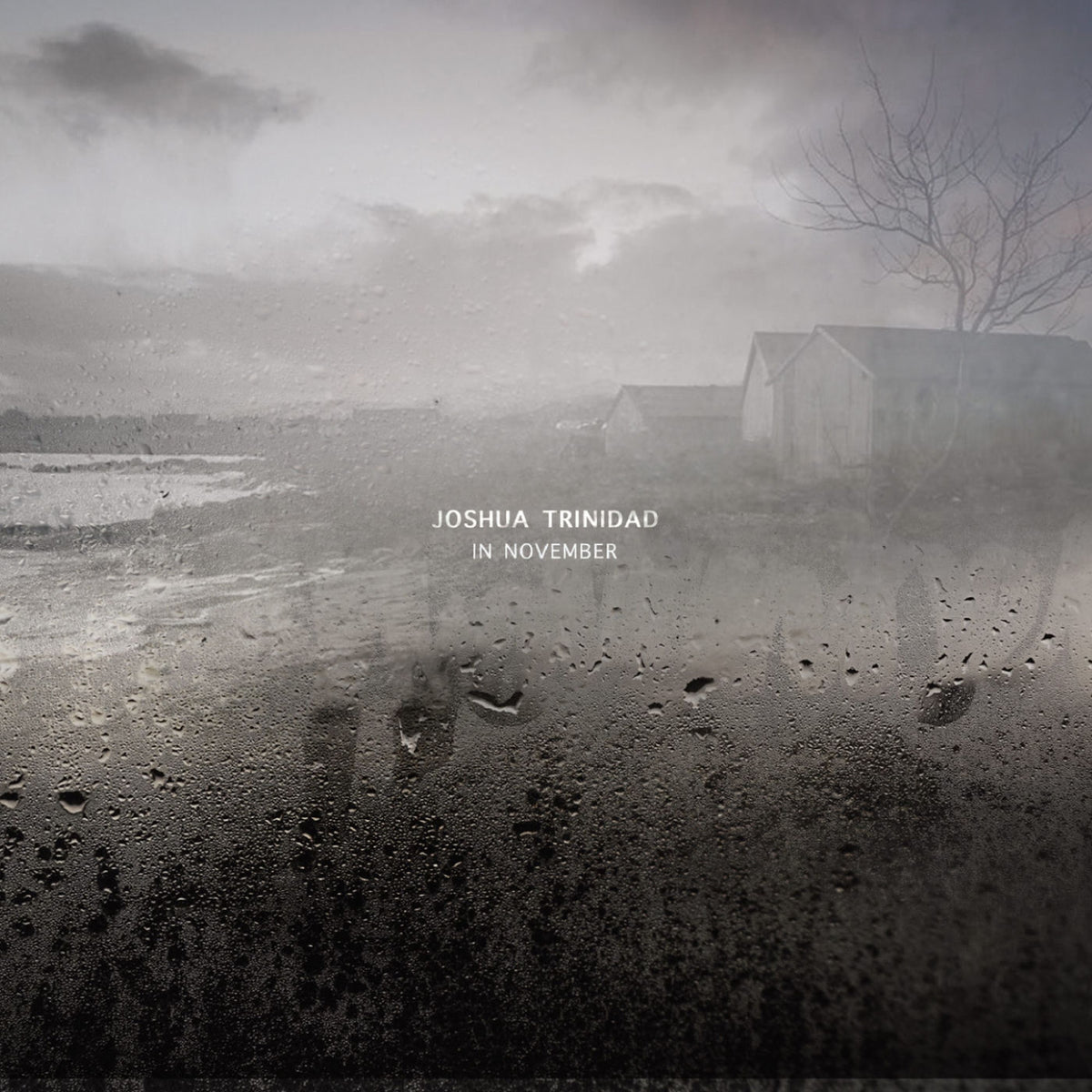 Joshua Trinidad – In November vinyl record cover