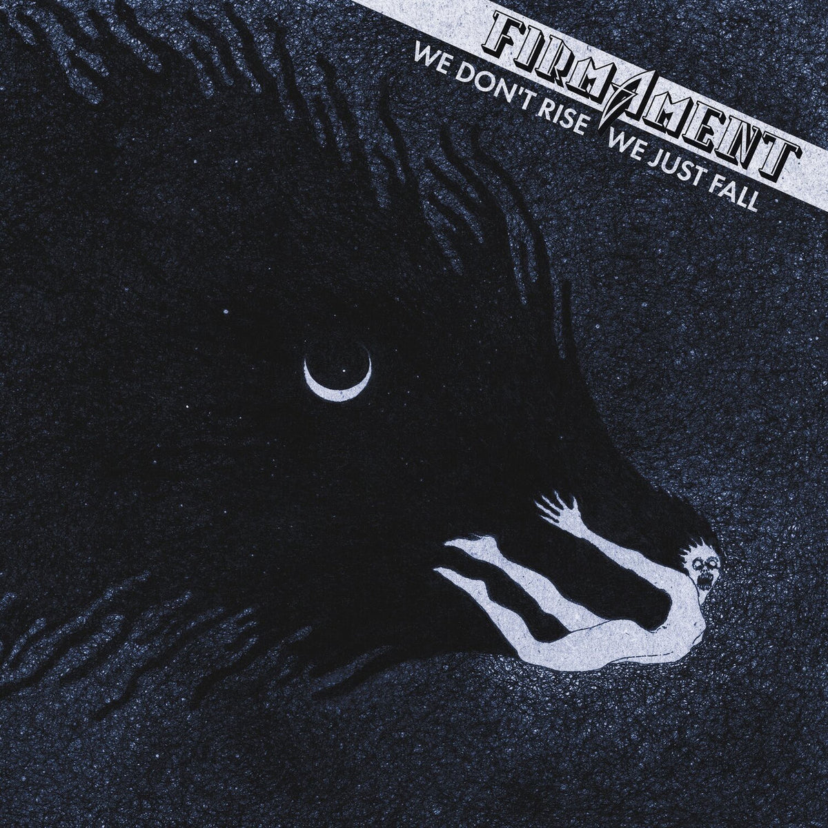 Firmament – We Don't Rise, We Just Fall vinyl record cover
