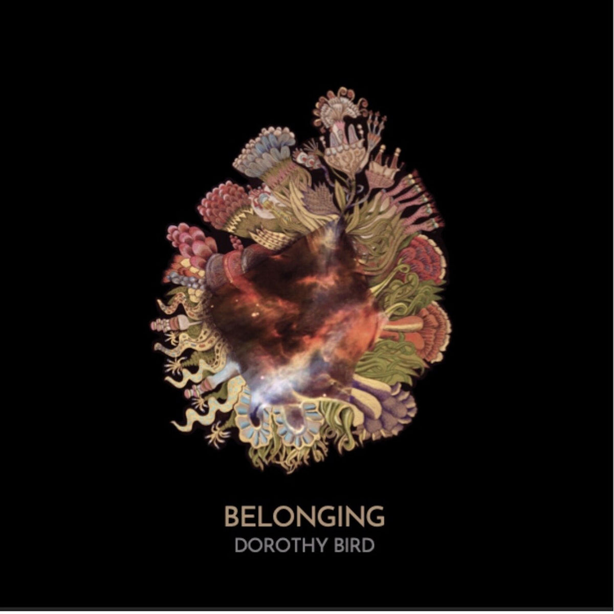 Dorothy Bird – Belonging vinyl record cover