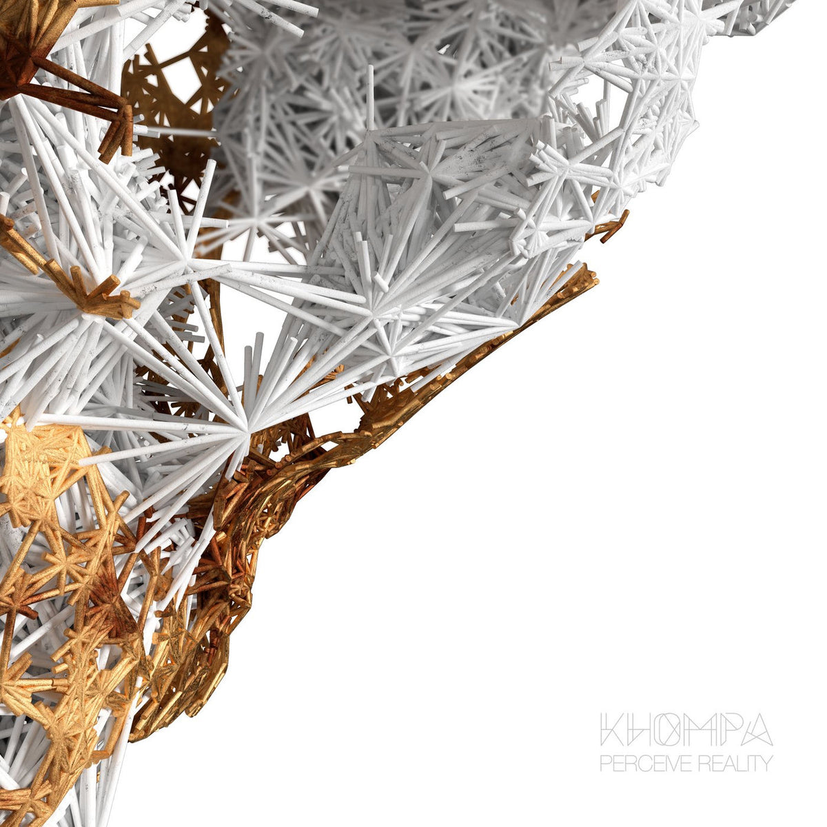 Khompa – Perceive Reality vinyl record cover