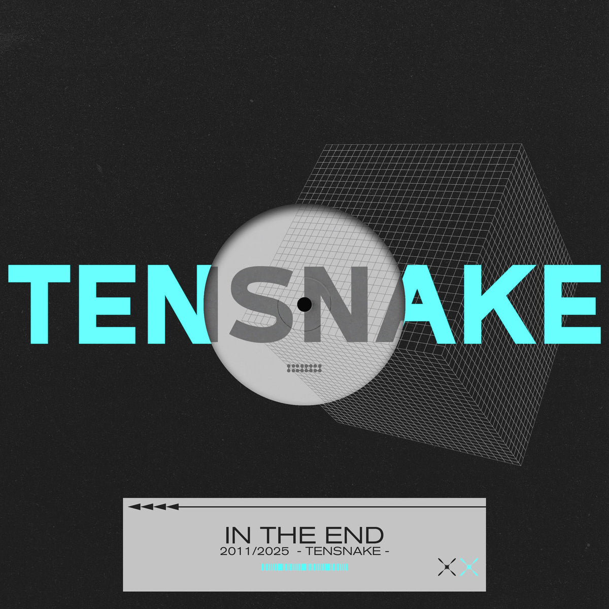 Tensnake – In the End vinyl cover