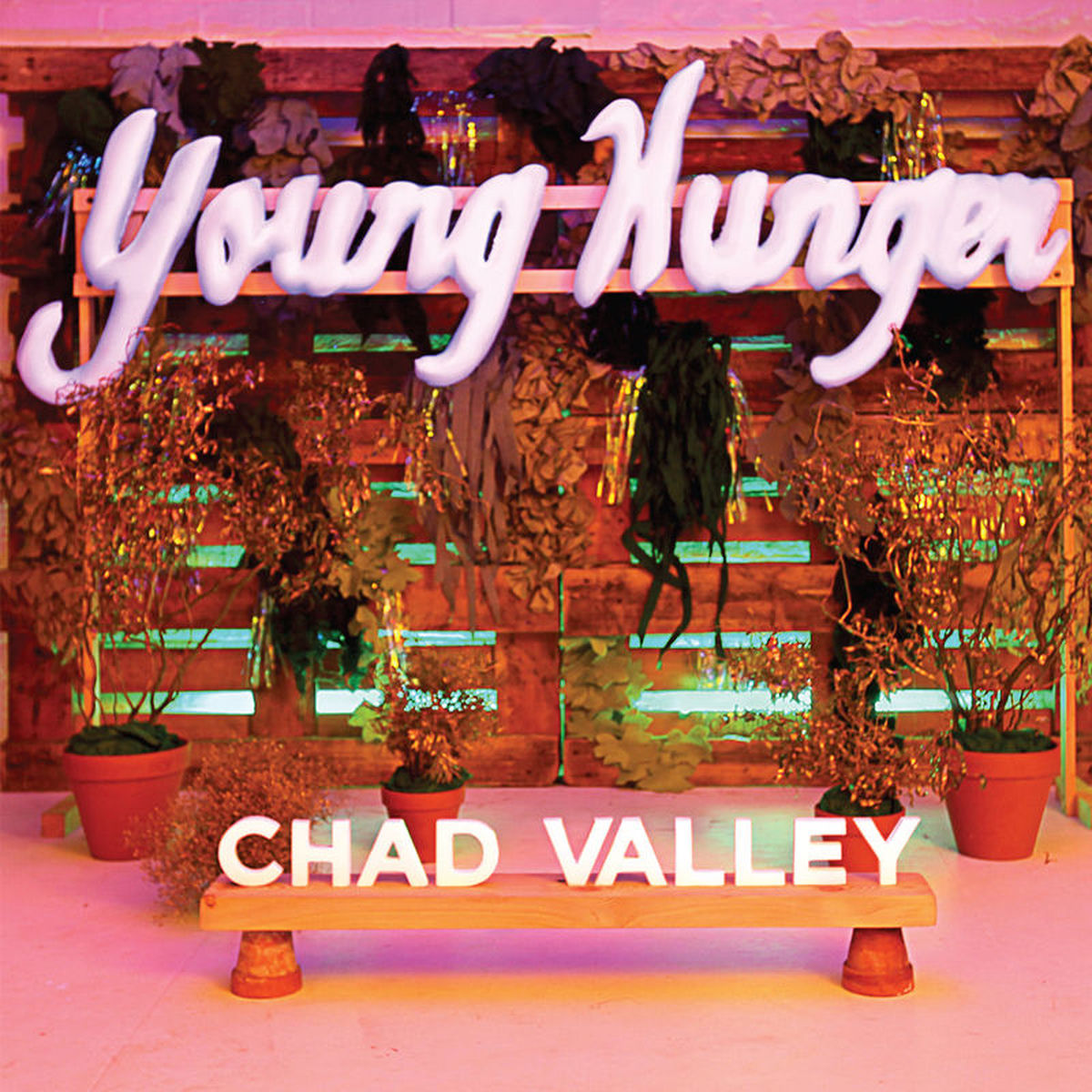 Chad Valley – Young Hunger vinyl cover