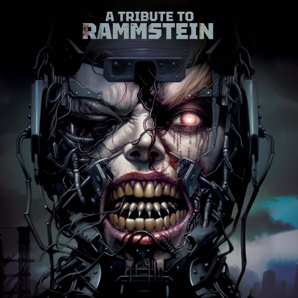 Various Artists – A Tribute to Rammstein vinyl record cover