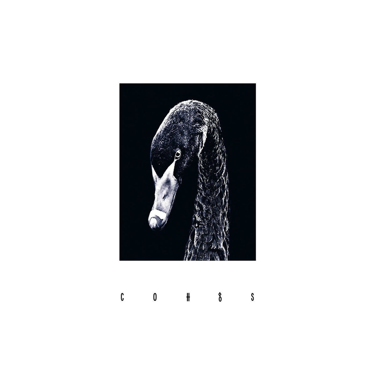 COH – Cohgs vinyl record cover