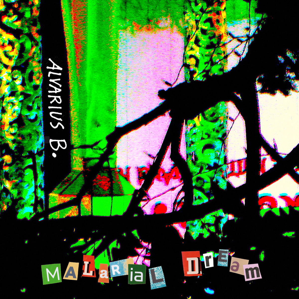 Alvarius B – Malarial Dream vinyl record cover