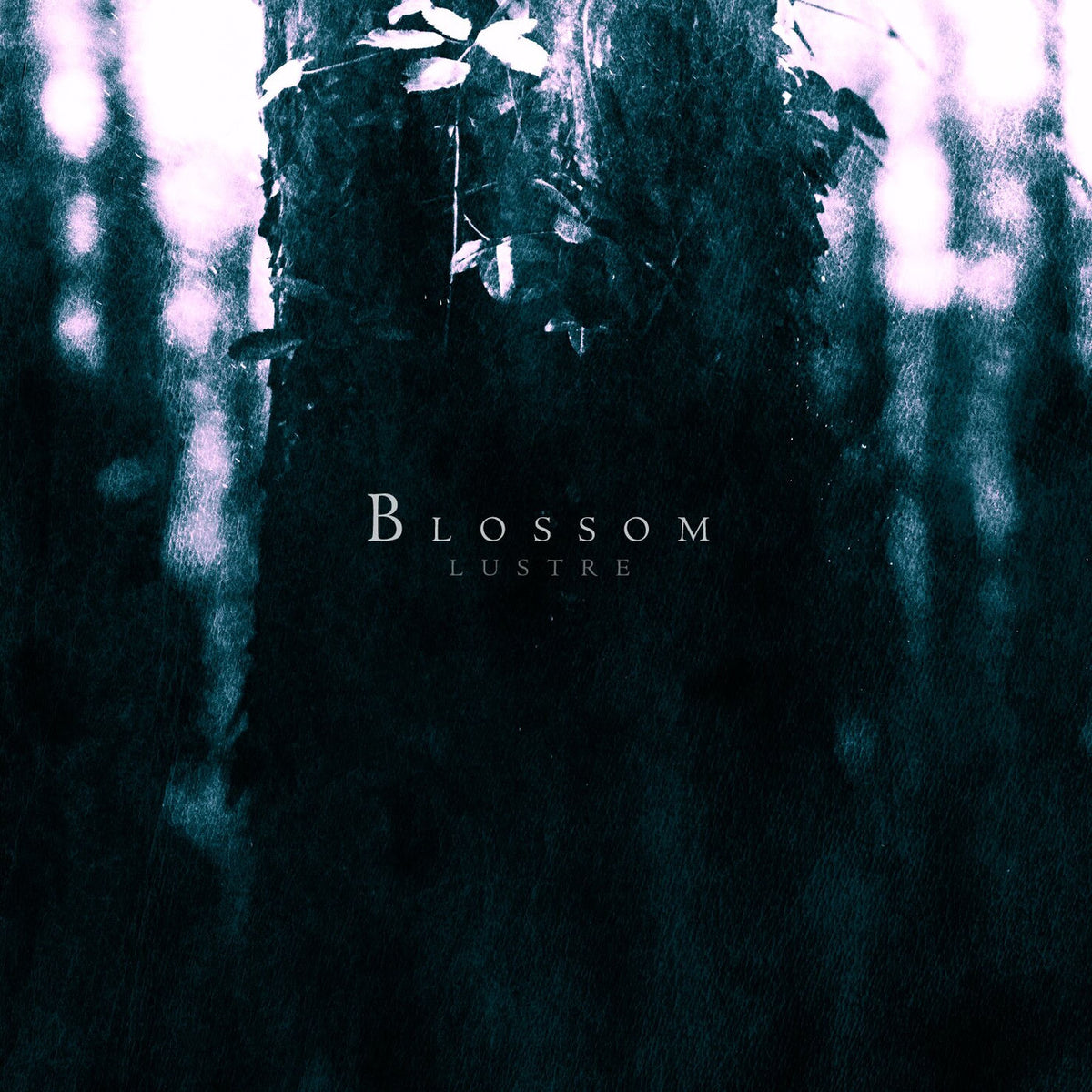 Lustre – Blossom vinyl record cover