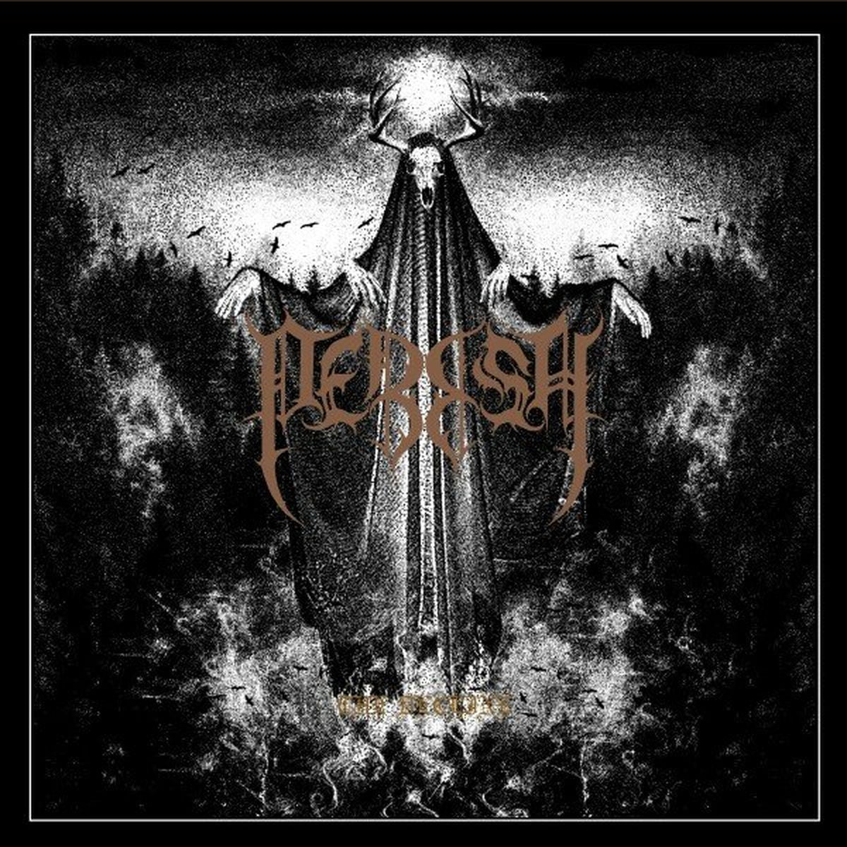 Perish – The decline vinyl record cover