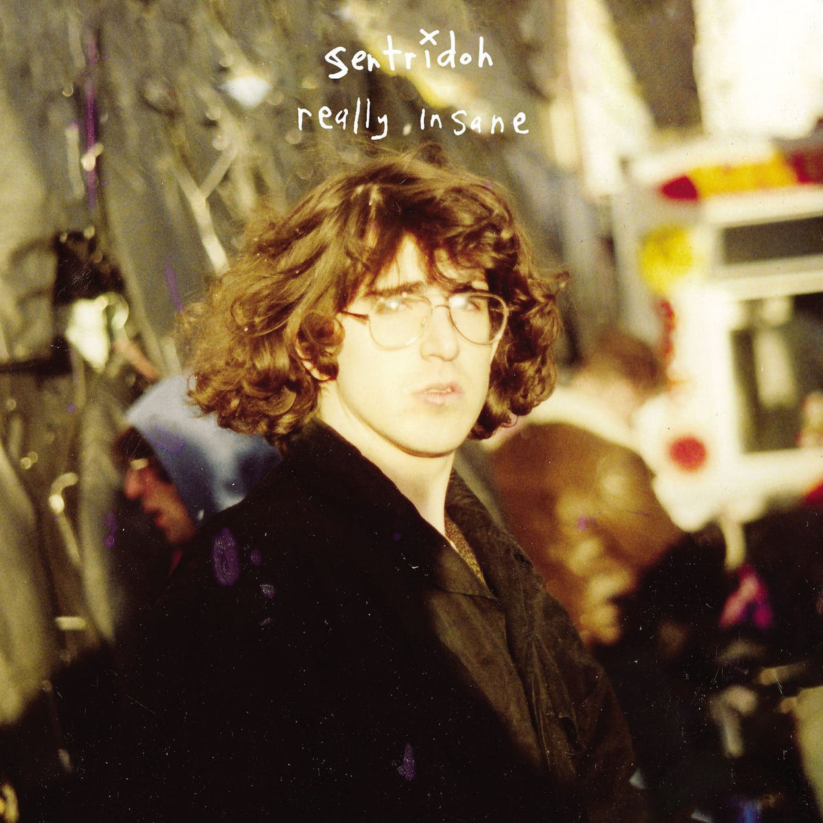 Sentridoh – Really Insane - A Lou Barlow Compendium vinyl cover