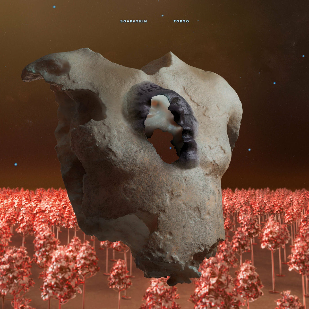 Soap&Skin – Torso [2LP] — album cover
