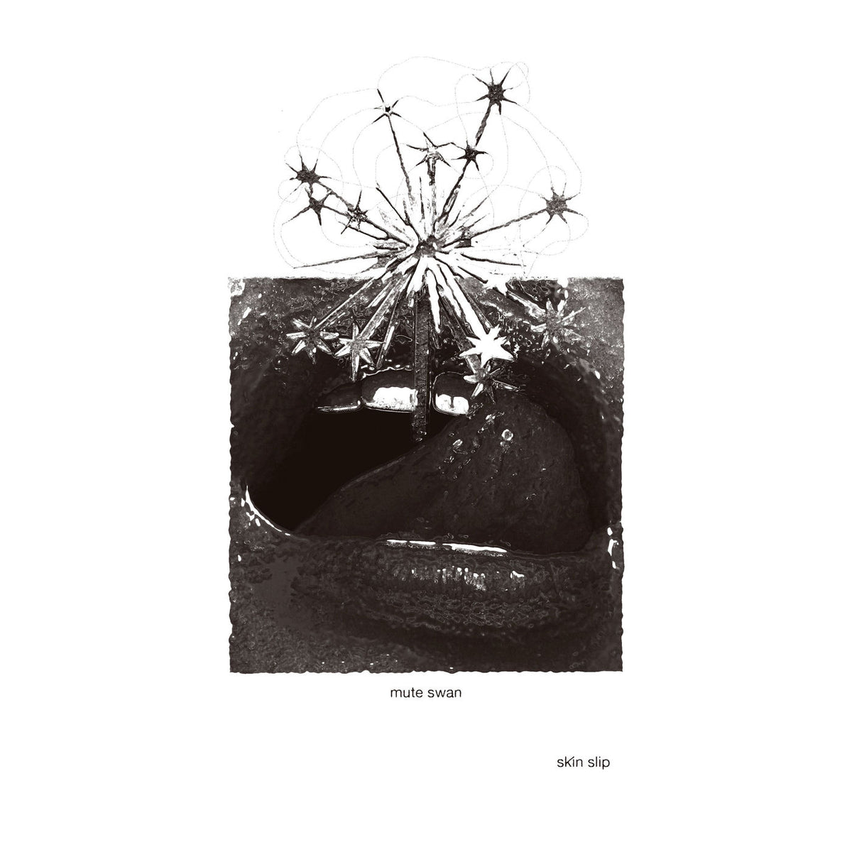 Mute Swan – Skin Slip vinyl record cover