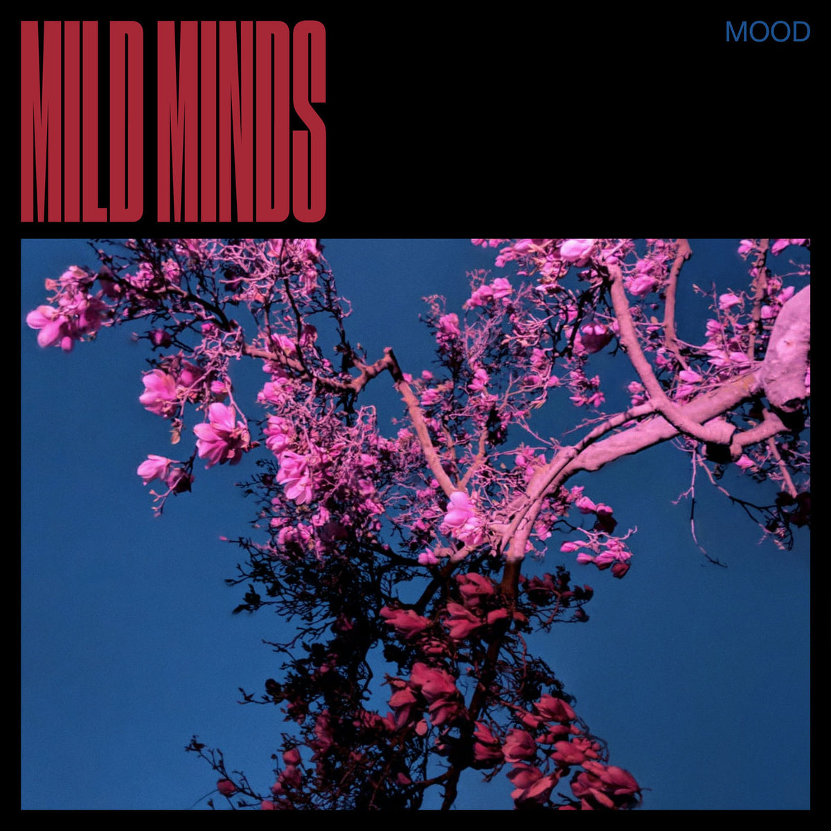 Mild Minds – MOOD vinyl record cover