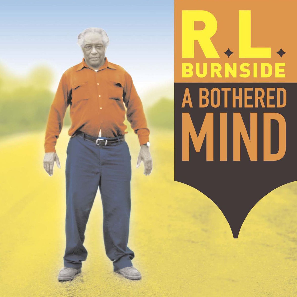 R.L. Burnside – A Bothered Mind vinyl record cover