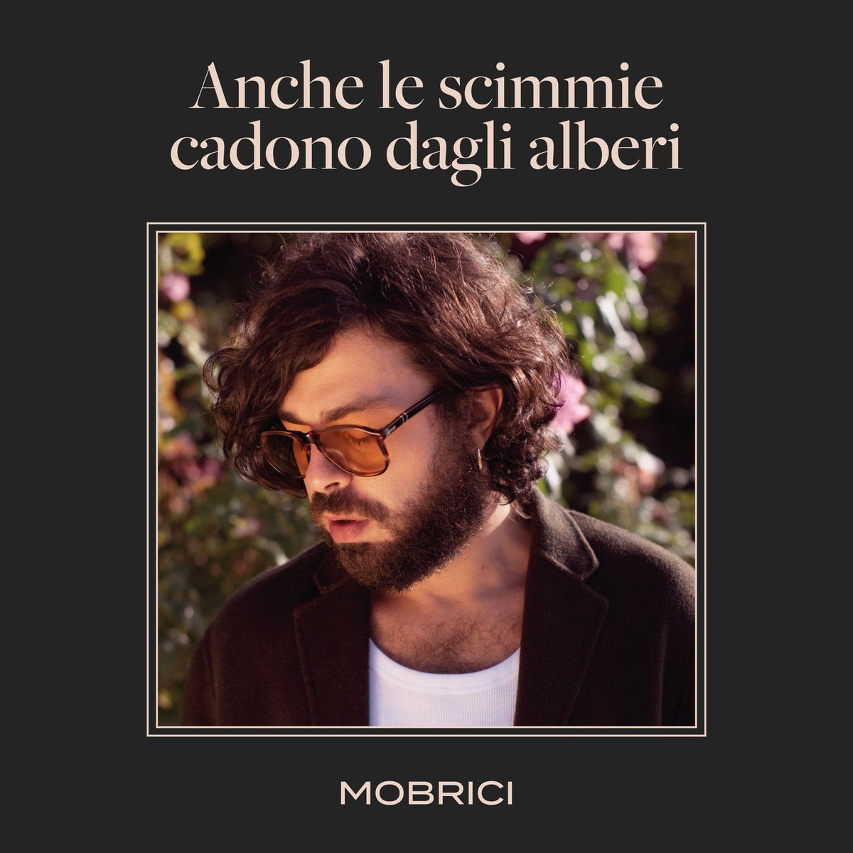 Mobrici – Anche Le Scimmie Cadono Dagli Alberi vinyl record cover