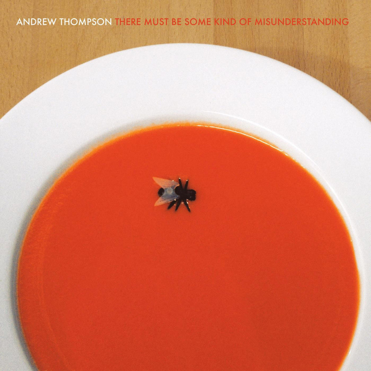 Andrew Thompson – There Must Be Some Kind Of Misunderstanding vinyl cover