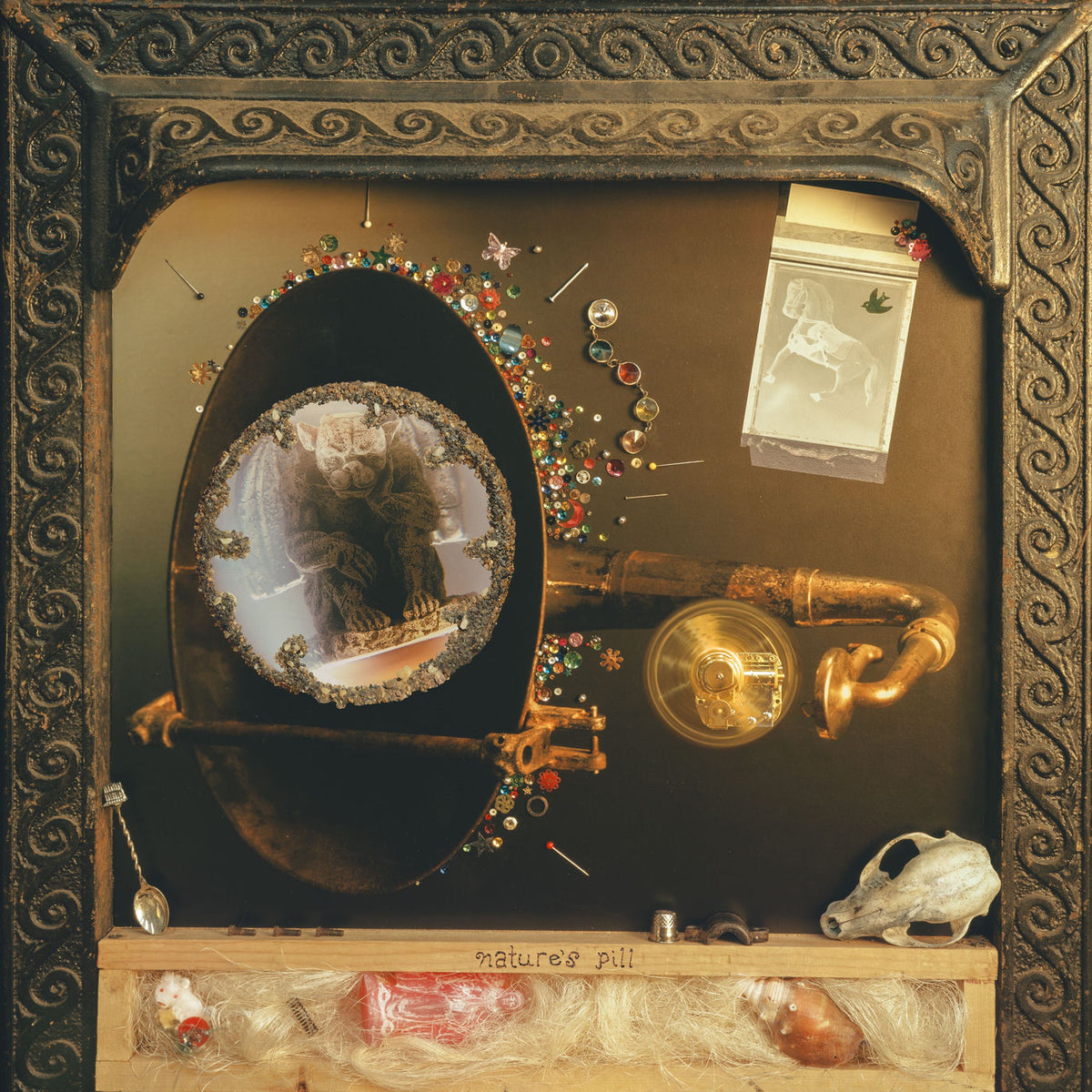 Wishy – Nature's Pill vinyl cover
