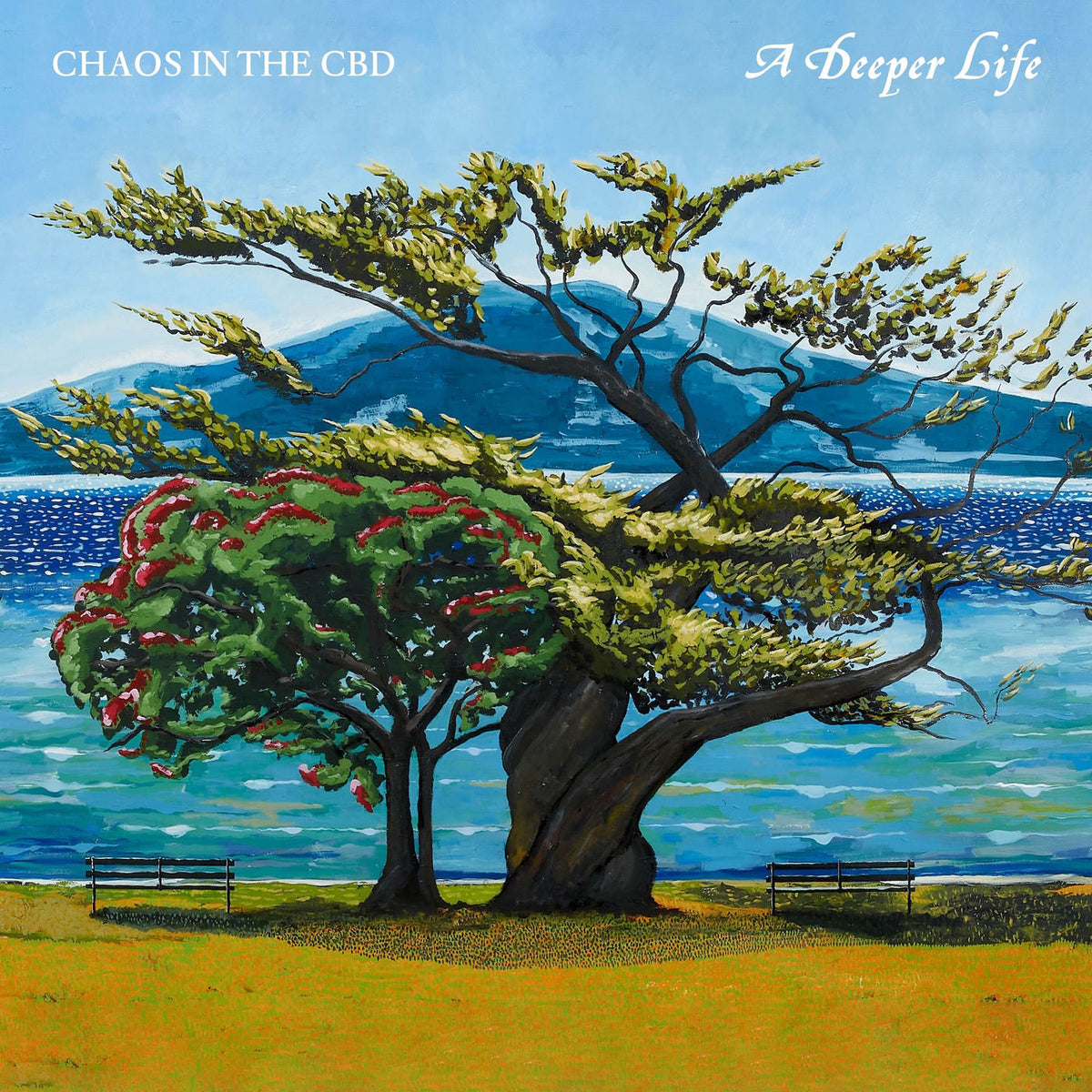 Chaos In The Cbd – Deeper Life vinyl record cover
