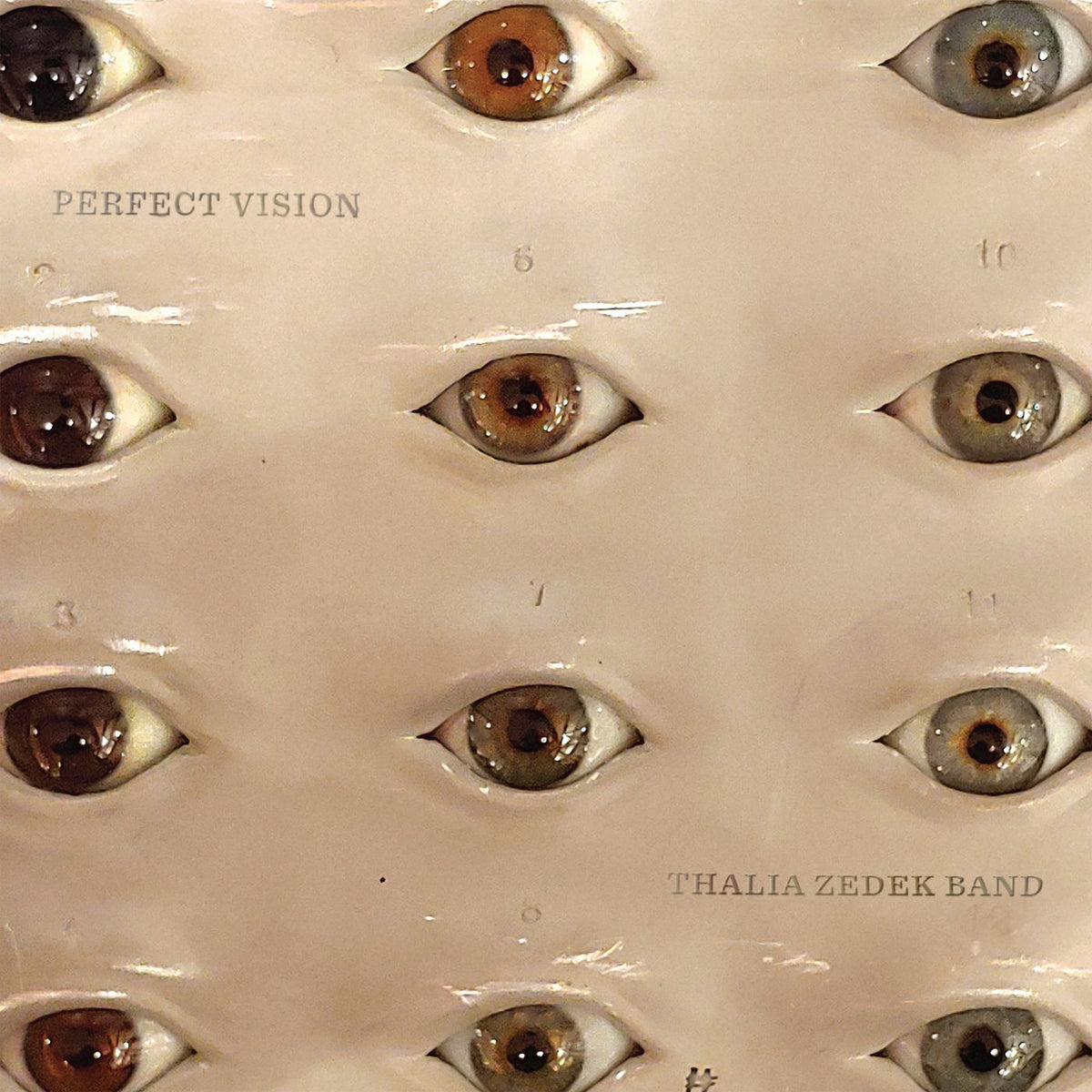 Thalia Zedek Band – Perfect Vision vinyl record cover