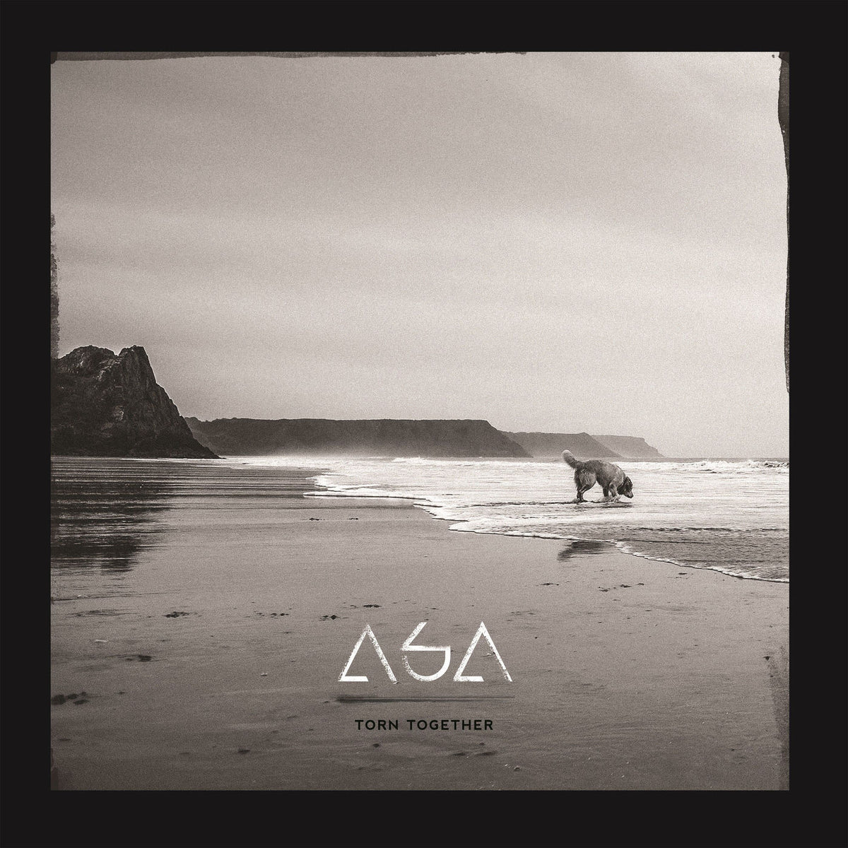 ASA – Torn Together vinyl record cover