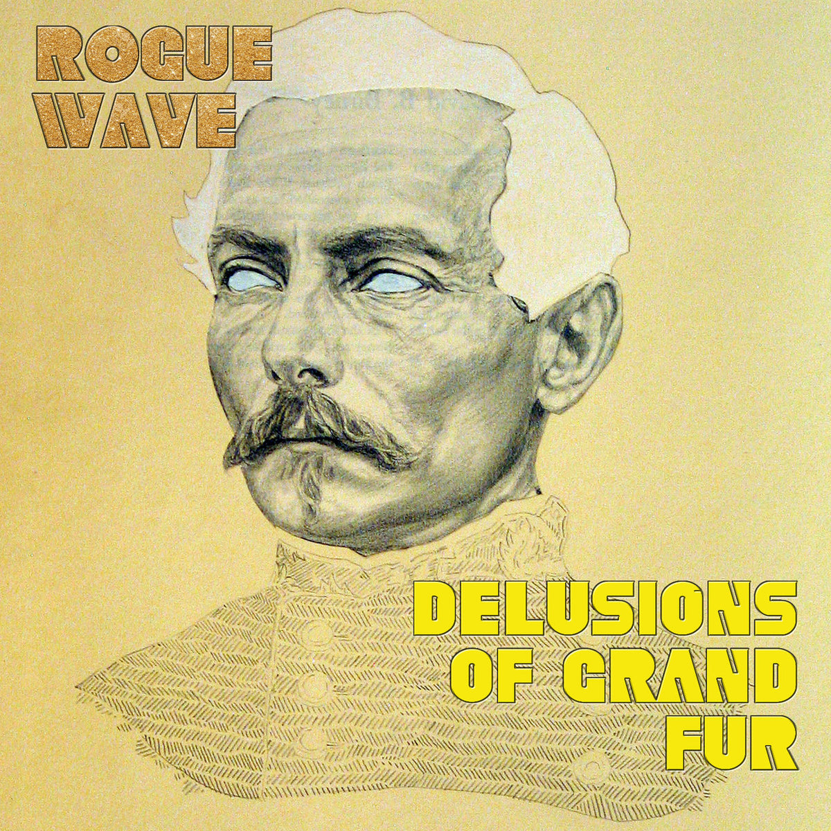 Rogue Wave – Delusions Of Grand Fur vinyl record cover