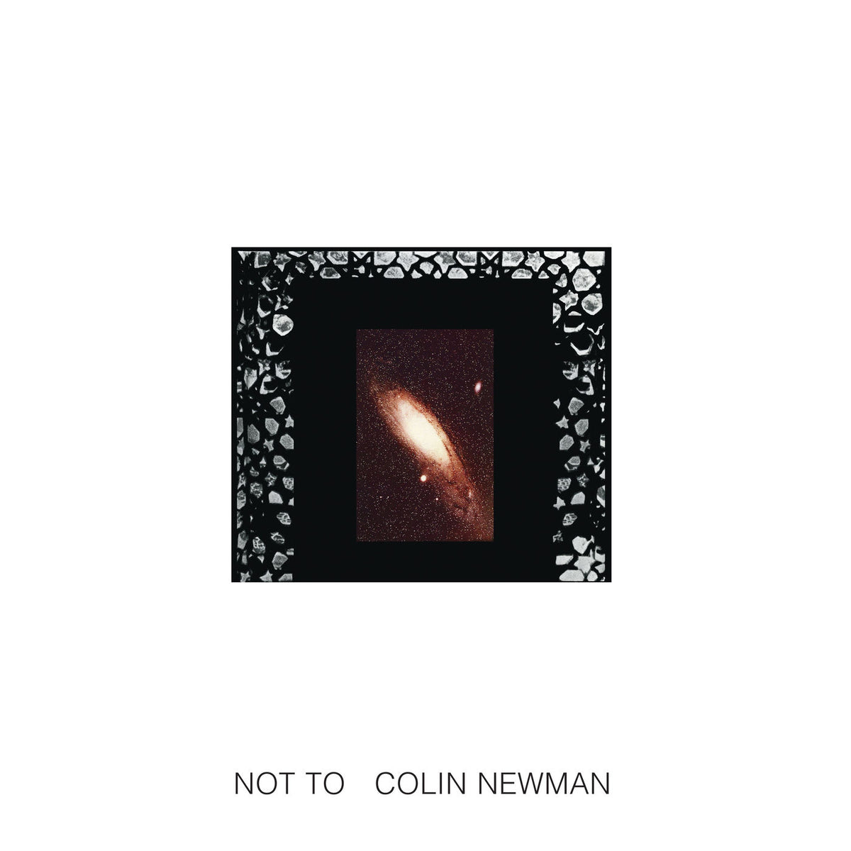 Colin Newman – Not To vinyl record cover