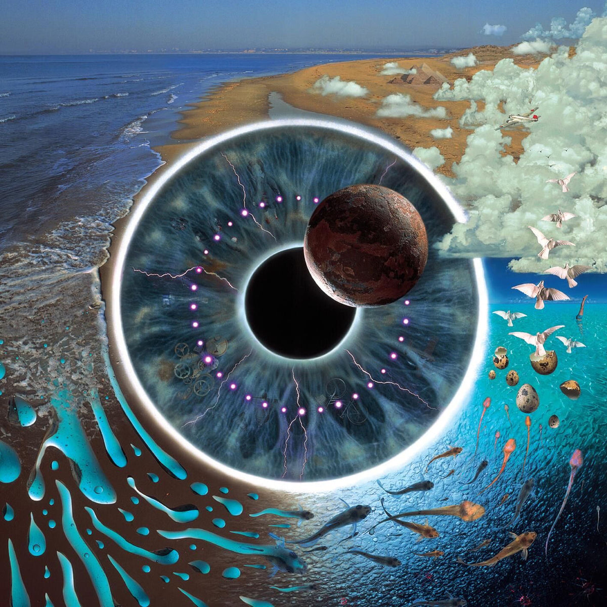 Pink Floyd – Pulse (Live) vinyl record cover