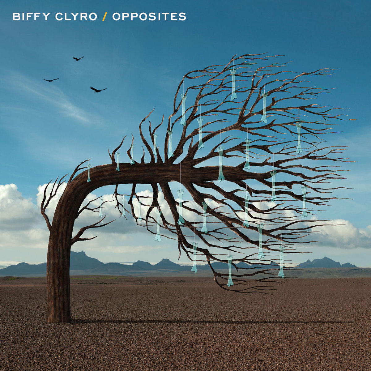 Biffy Clyro – Opposites vinyl record cover