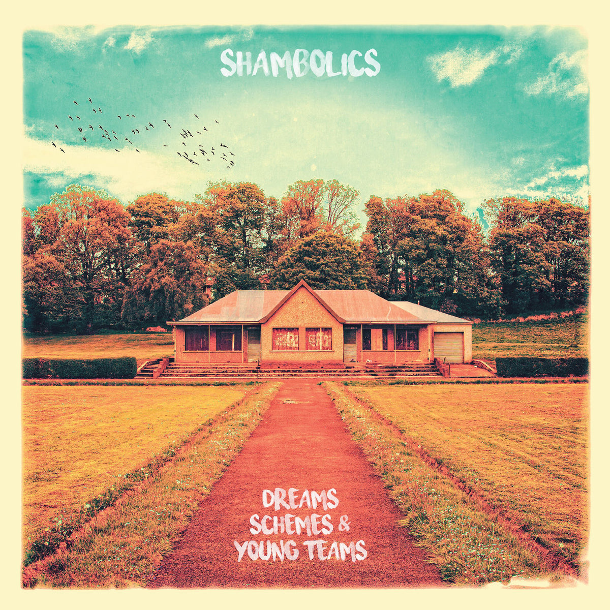 Shambolics – Dreams. Schemes & Young Teams (Yellow Vinyl) (Indies Exclusive) vinyl record cover