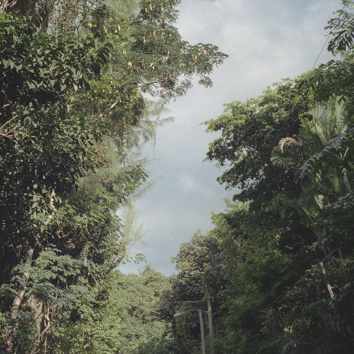 Zac Nelson – New Once vinyl cover