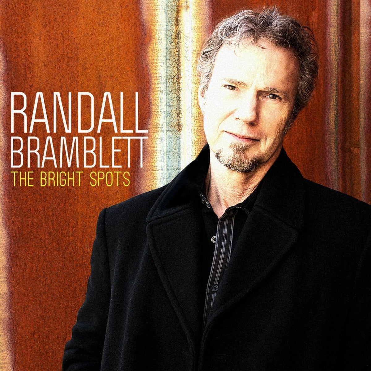 Randall Bramblett – The Bright Spots vinyl cover