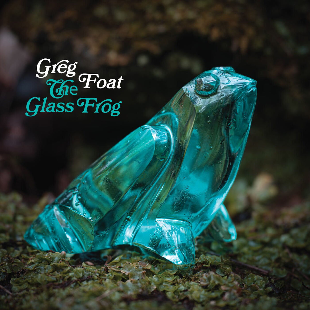 Greg Foat – The Glass Frog vinyl record cover