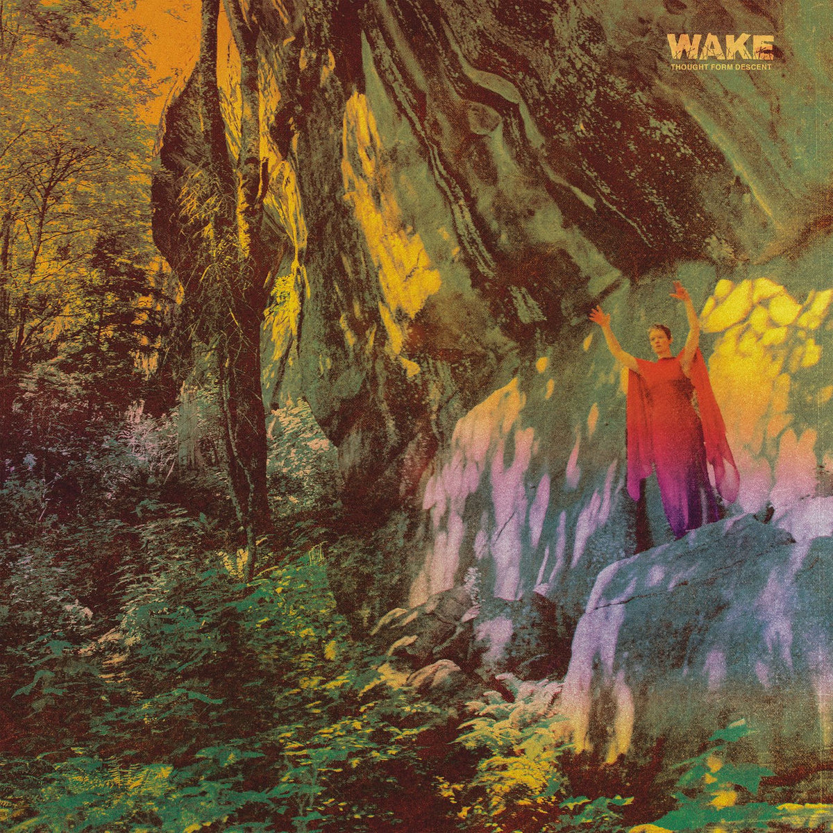 Wake – Thought Form Descent vinyl record cover
