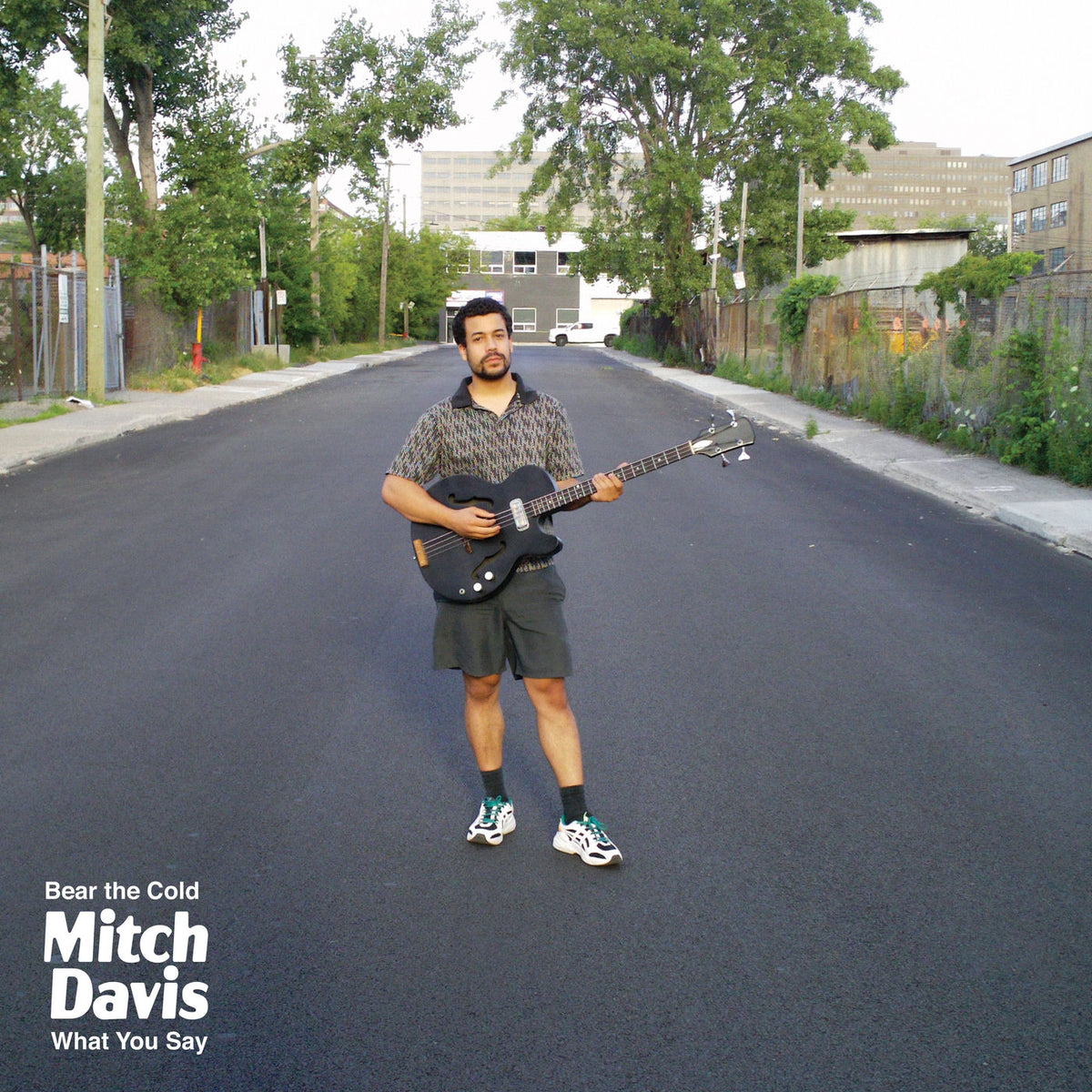 Mitch Davis – Bear The Cold vinyl cover