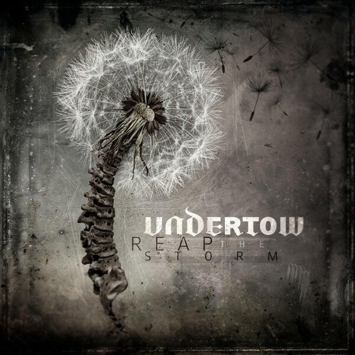 Undertow – Reap The Storm vinyl record cover