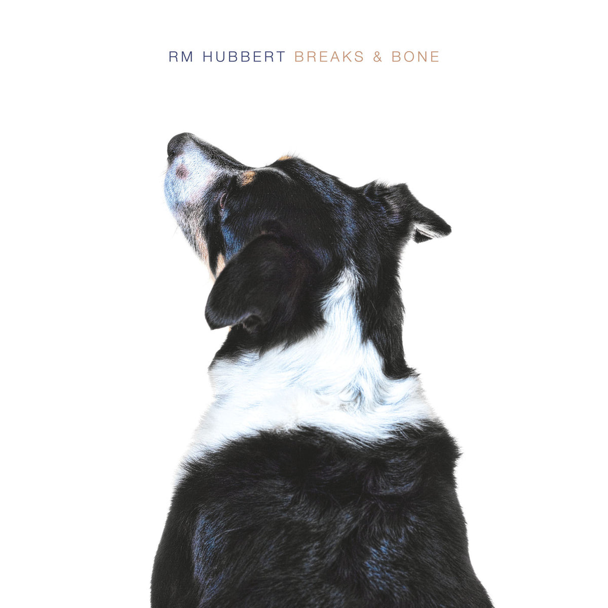 RM Hubbert – Breaks & Bone vinyl cover