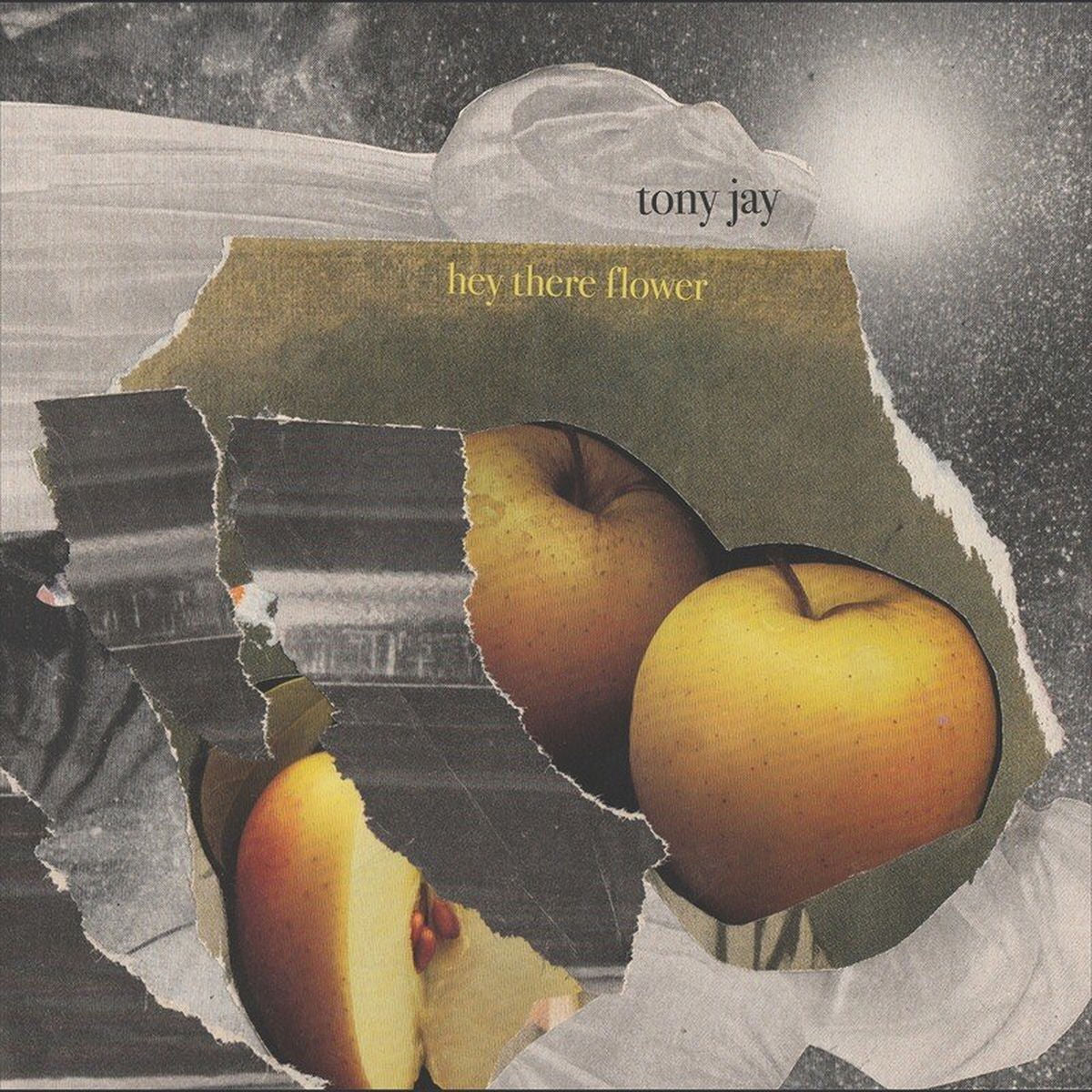 Tony Jay – Hey There Flower vinyl record cover
