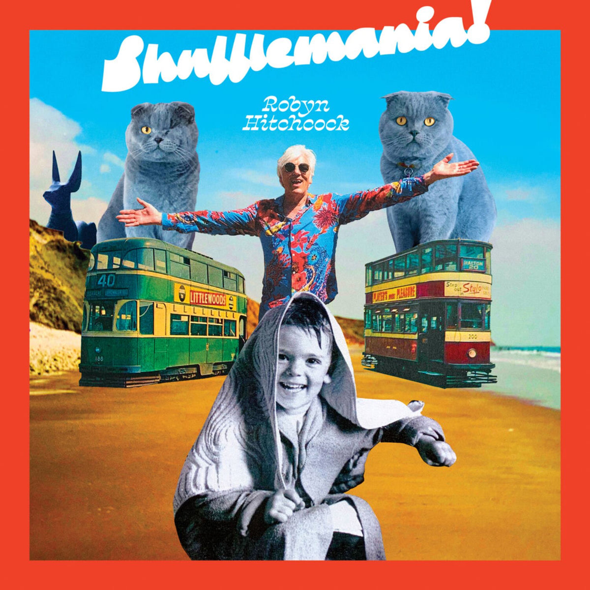 Robyn Hitchcock – Shufflemania! vinyl record cover
