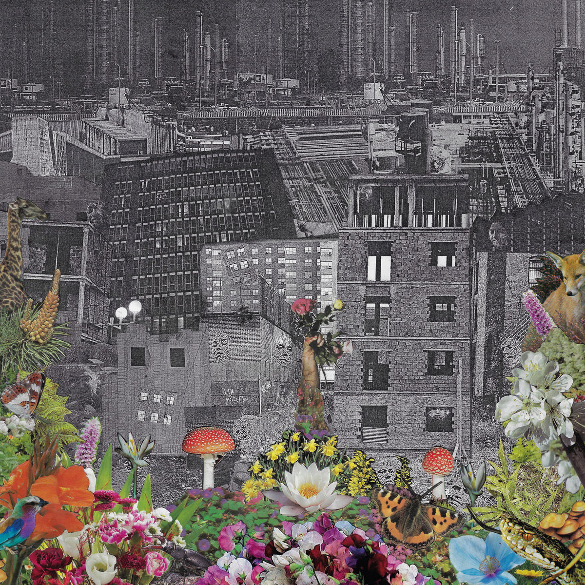 Bloody Head – Perpetual Eden — album cover