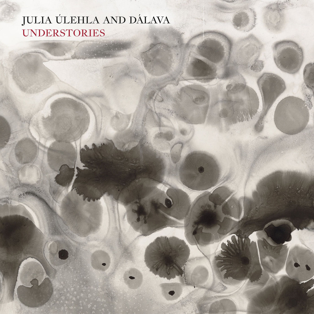 Julia Úlehla – Understories vinyl cover