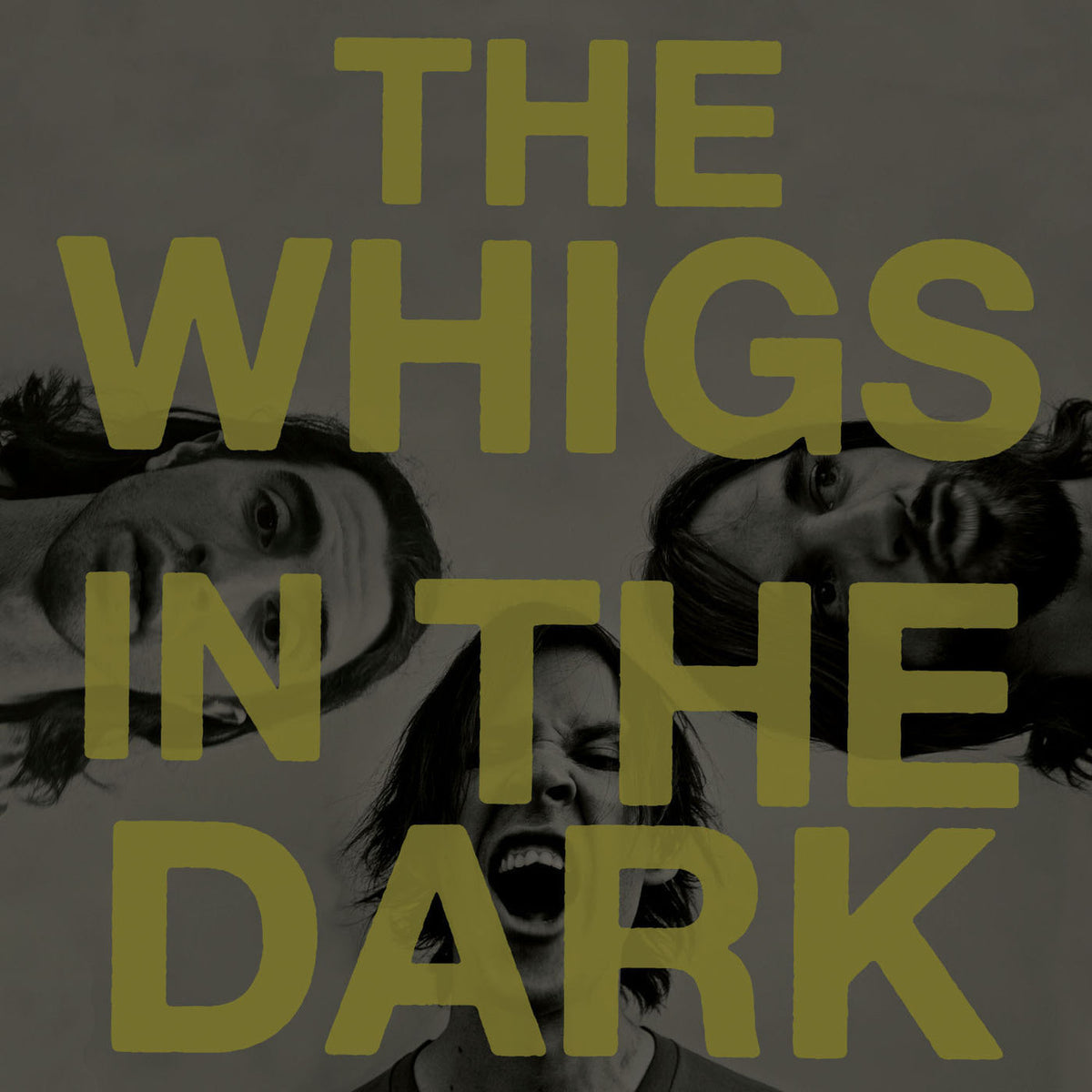 The Whigs – In The Dark vinyl record cover