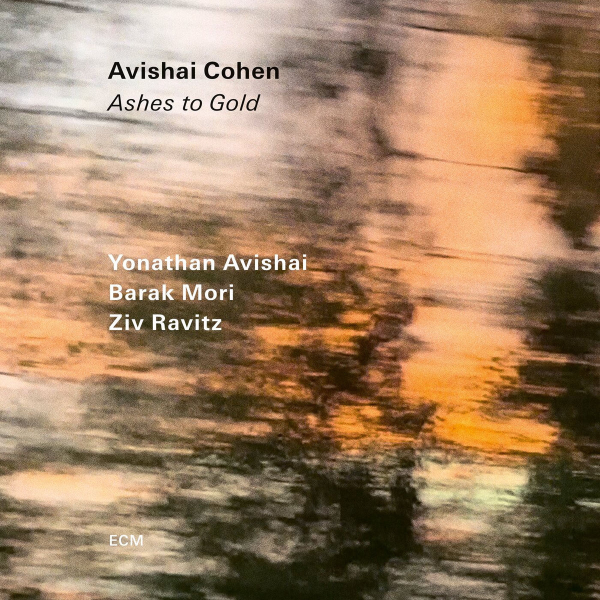 Avishai Cohen – Ashes to Gold vinyl record cover