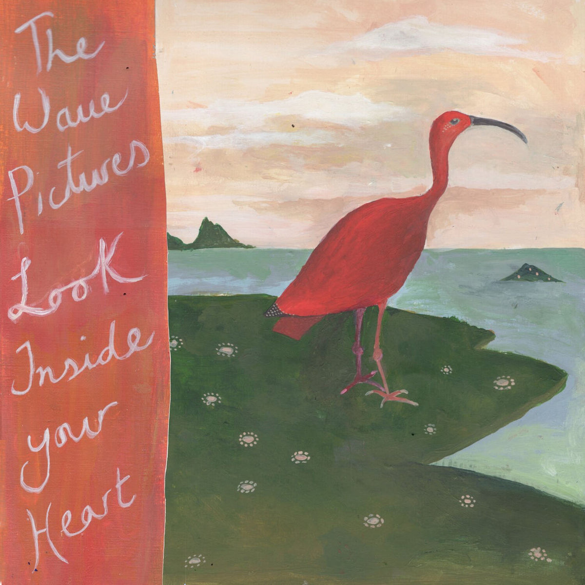 The Wave Pictures – Look Inside Your Heart vinyl cover