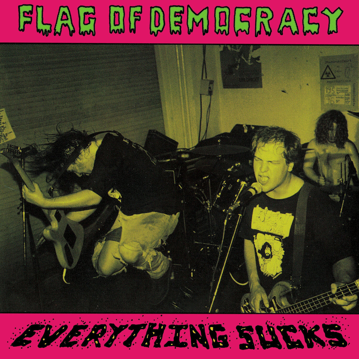 Flag of Democracy – Everything Sucks vinyl record cover