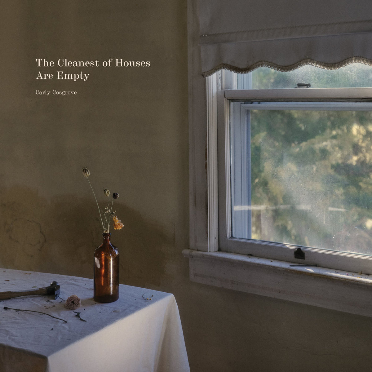Carly Cosgrove – Cleanest Of Houses Are Empty (COLORED VINYL) vinyl record cover